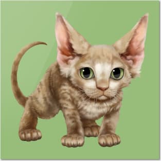Cat-a-clysm Devon rex kitten Posters and Art